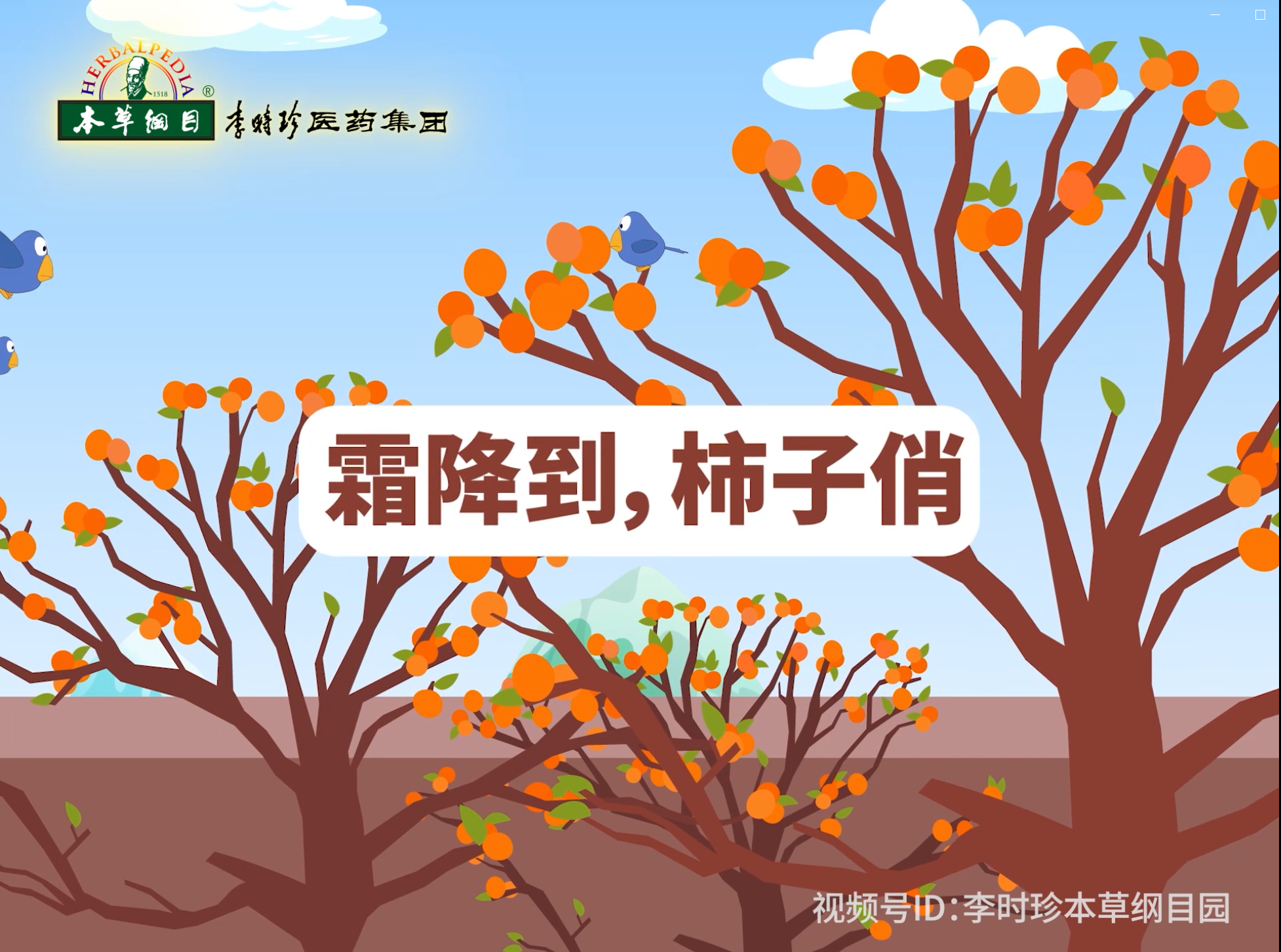 霜降到，柿子俏