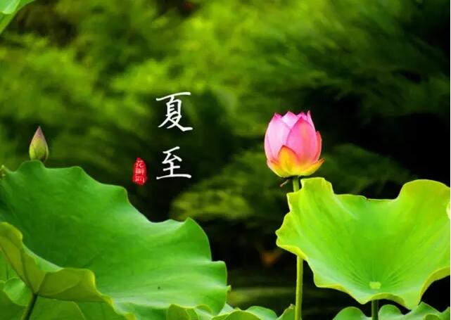 【二十四節(jié)氣養(yǎng)生篇】夏至：多食苦，靜養(yǎng)心